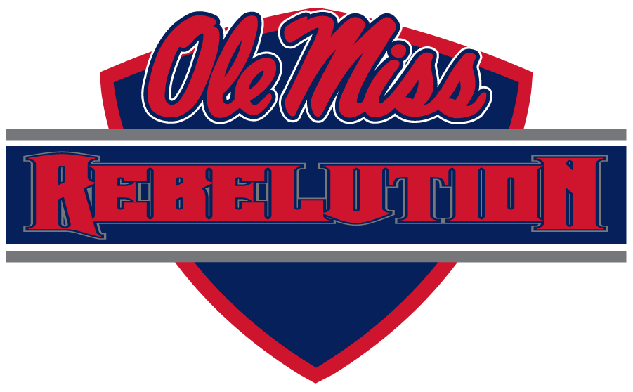 Mississippi Rebels 2010-2011 Wordmark Logo diy iron on heat transfer